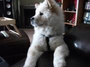 photo of Christina C.