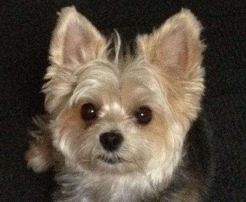 photo of Michelle B.