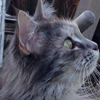 photo of Patty L.