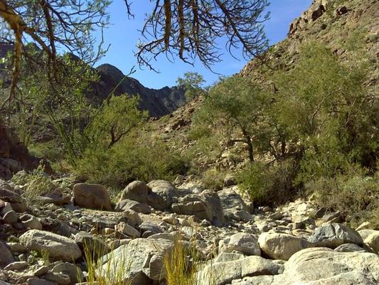 photo of Estellita D.