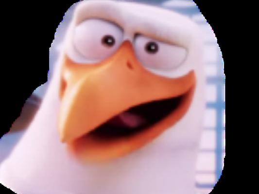 Photo of Mega A.