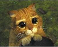 photo of Alexandra P.