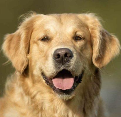 photo of TomTwoThumbs O.