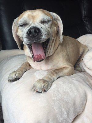 photo of Brittany R.