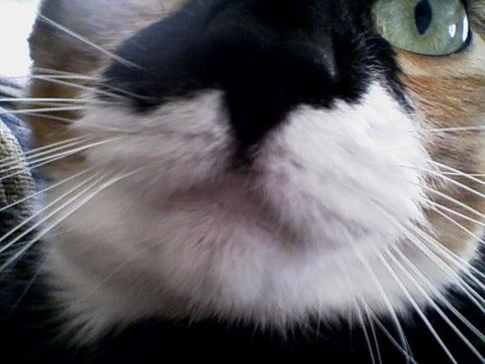 Photo of 'lida C.