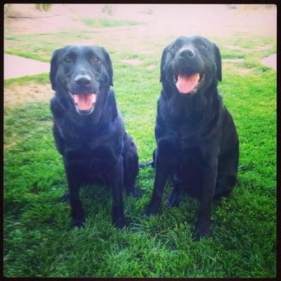 photo of Amy Leigh F.