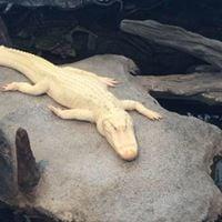 photo of Christine A.