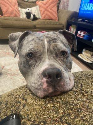 photo of Princess K.