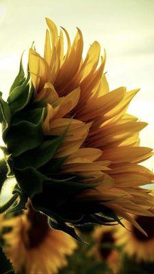 Photo of Catalina S.