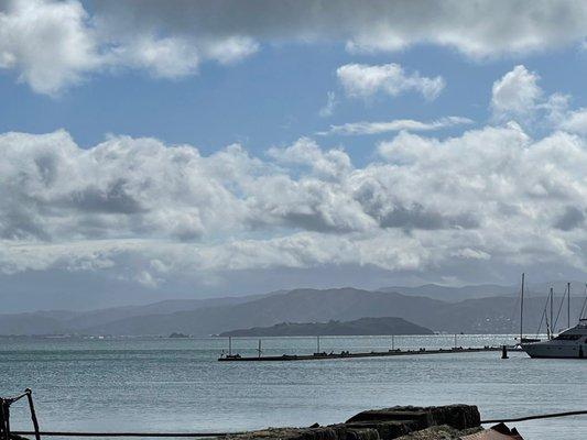 photo of Tazmanjx N.