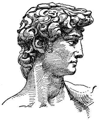 Photo of David C.