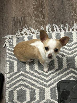 Photo of Bella C.