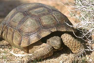 photo of Qype User (marphy…)