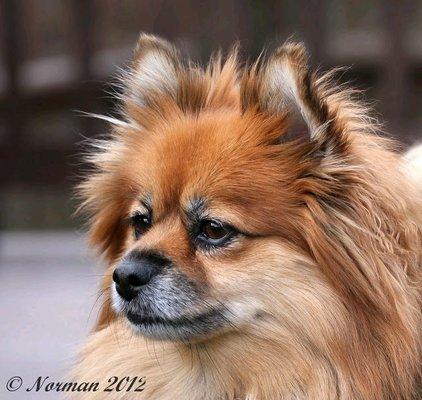 Photo of Stormin N.