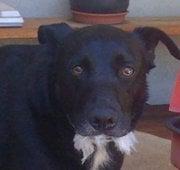 photo of Jennifer G.