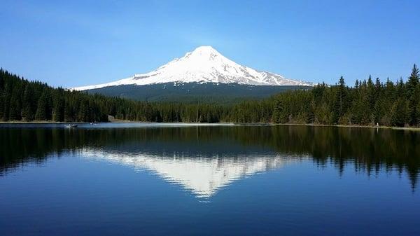 photo of Portland G.