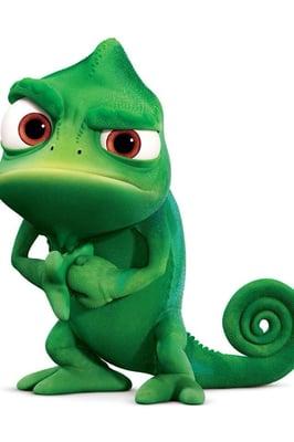 Photo of Dori T.