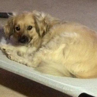 Photo of Patricia C.