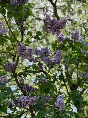 photo of Michelle M.