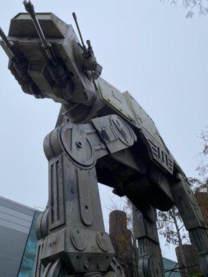 photo of Danielle J.