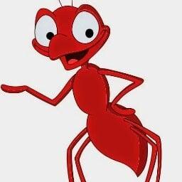 Photo of Wily T.