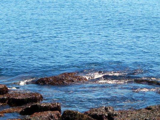 photo of Jennifer N.