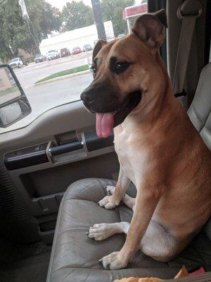 Photo of Cosmo T.