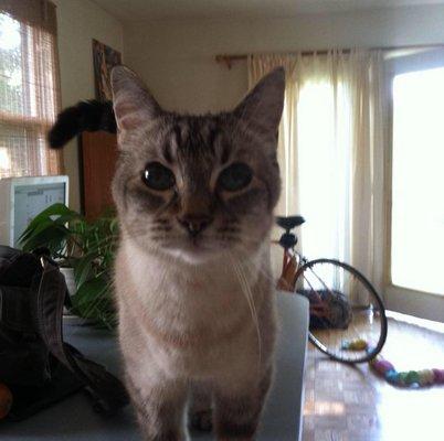 Photo of Merry T.