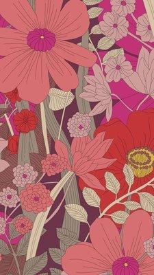 Photo of Carolina E.