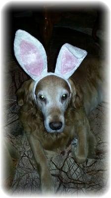 photo of Anonymous D.