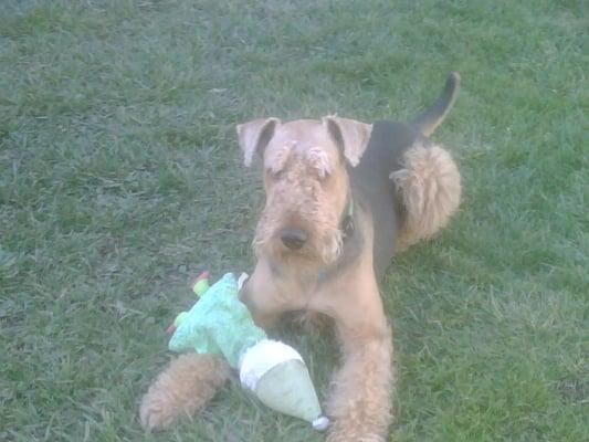 photo of Jonathan G.