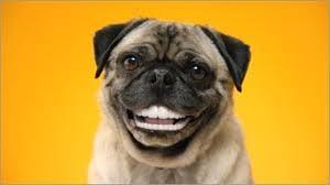 Photo of Maddog M.