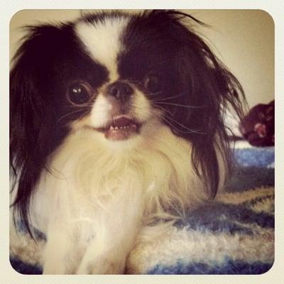 photo of mommaBarbie A.