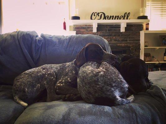 photo of Brittany G.