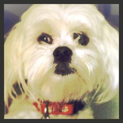 photo of Bubbyzgirl S.