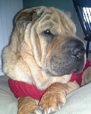 Photo of Rose Ann B.