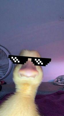 Photo of Danny