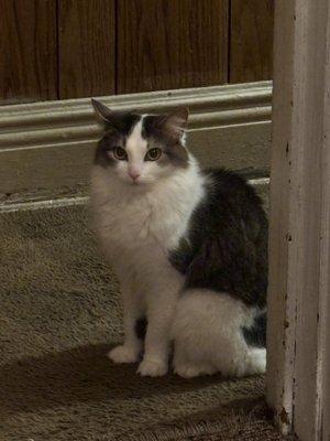 photo of Isabella A.