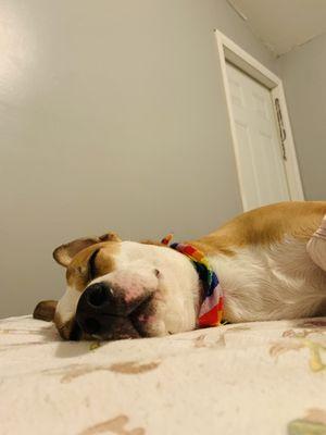 photo of Stephanie S.