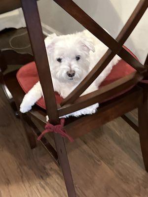 photo of Clifford L.