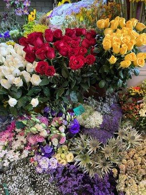 photo of Michelle R.