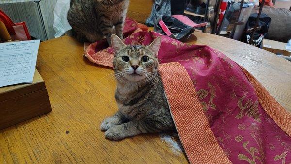 Photo of Miss M.