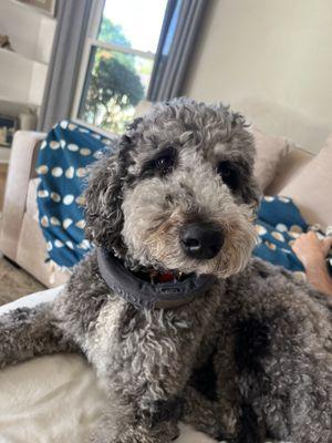 photo of Johnathan B.