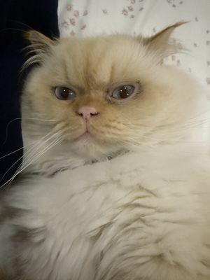 Photo of Dori T.