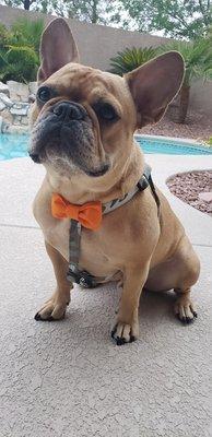 Photo of Jennifer G.