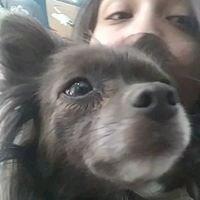 photo of Stephani B.