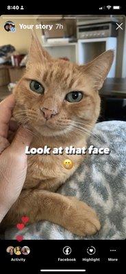 photo of catherine s.