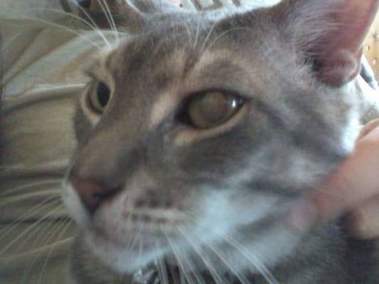 Photo of Willow M.