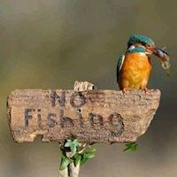 photo of Kimberly P.