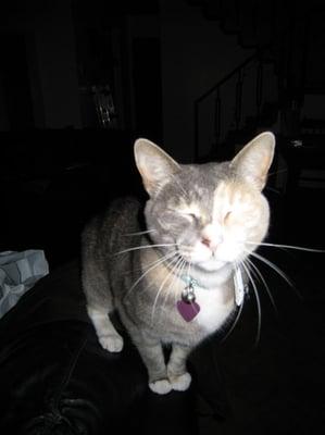 Photo of Midge S.